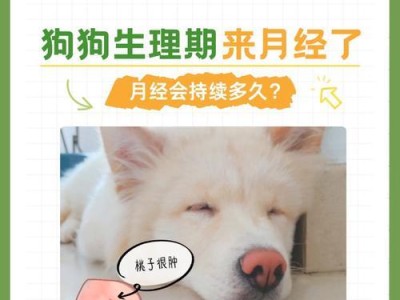 狗狗生产时常见症状（了解狗狗生产时的常见症状，保证安全与健康）