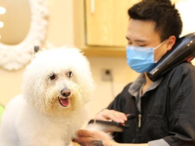 成为一名优秀的宠物美容师的条件（关键要素与技能要求）