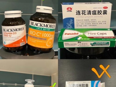 狗咳嗽有痰的治疗方法（探索有效药物以改善狗咳嗽症状）