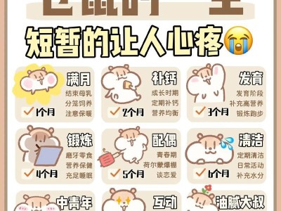 适合新手饲养的6种仓鼠及基本介绍（选择最适合你的可爱小宠物，快乐共度每一天）