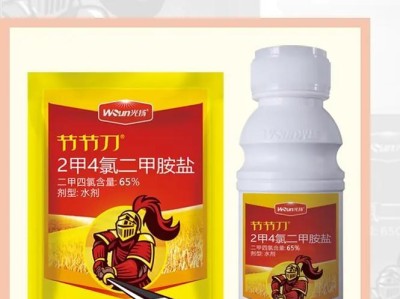打伤用药指南（选择合适的药物以及正确的处理方法，让打伤迅速康复）