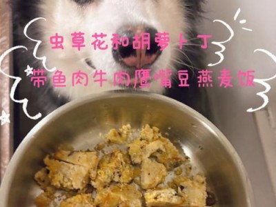 小狗午餐的最佳选择（营养均衡的午餐，关键在于这个！）