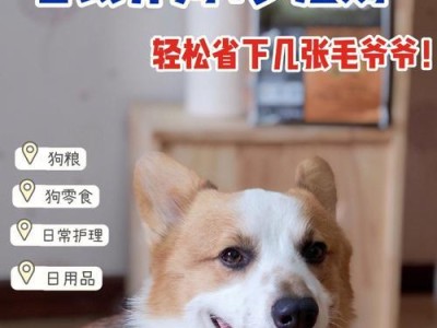 狗狗包毛的好处及使用方法（了解如何给你的爱犬提供专业级的美容护理）