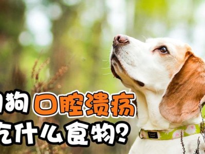 孕妇梦到狗吃什么东西？解析你的潜意识（孕妇梦到狗吃什么东西的象征意义及解读）