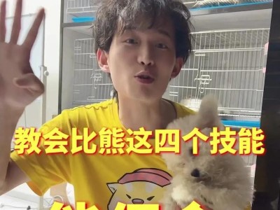 新手养比熊犬的不宜之处（为什么一般人不适合养比熊犬？）