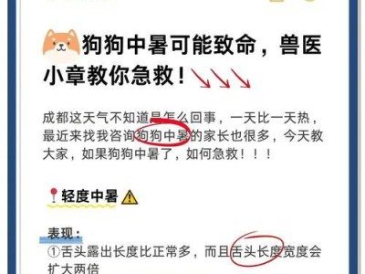 了解狗的轻微中暑症状（预防和处理你的爱犬受到中暑的风险）