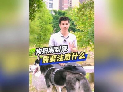 幼犬到家后需要注意的三件事（新宠物主人必知的养犬基本常识）