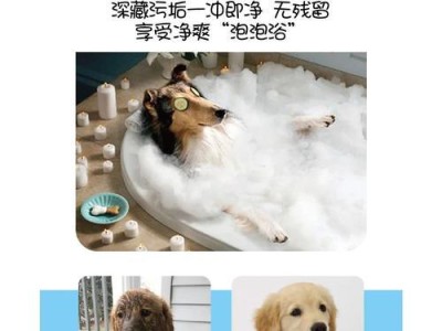 狗狗沐浴液换一次的最佳时间与方法（科学护理宠物的关键，不可忽视的狗狗沐浴液更换规则）