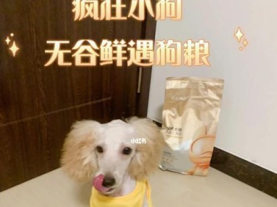 如何喂养4个月大的小狗