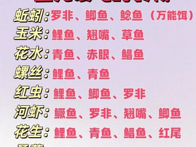 探究鱼类喜欢的饵料（揭秘鱼类喜爱的食物类型及其特点）