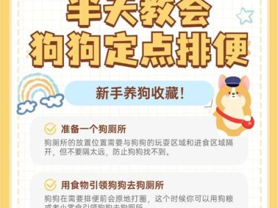狗狗进食后多久会排便？（探究狗狗排便时间的关键因素）