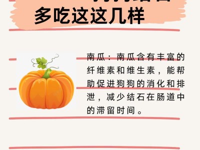 犬结石检查的重要性（了解犬结石的类型及检查方法助你守护爱犬健康）