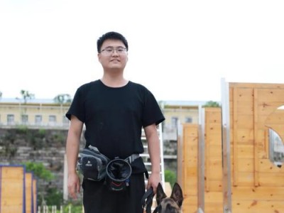 为什么我的宠物马犬一直叫唤？（探究马犬叫唤背后的原因和解决办法）