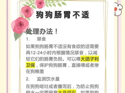 小狗拉肚子，缓解不适的五招！（让小狗舒服的方法，帮助它恢复健康）