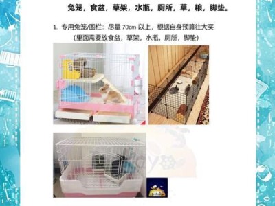 兔子怀孕的周期及注意事项（了解兔子怀孕周期，做好养殖准备）