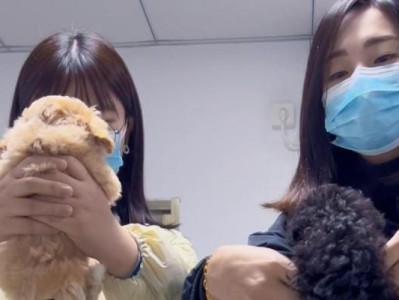 在狗场购买小狗的注意事项（避免买到不健康或恶性竞争小狗，保障宠物的健康和幸福）