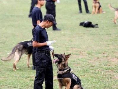 应激训练（以宠物为主，从应激方面谈警犬的训练和管理）