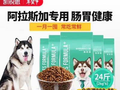 阿拉斯加幼犬的合理饮食计划（探究阿拉斯加幼犬每天所需食物和饮食习惯）