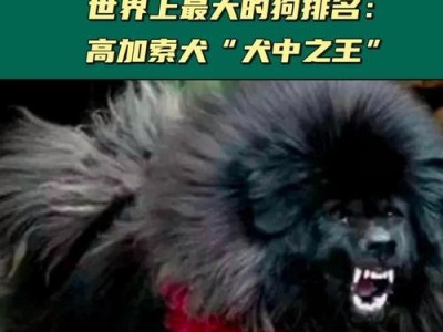 高加索犬（探索高加索犬的特点、历史和用途）