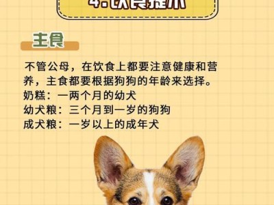 选择什么大狗容易养（找寻适合家庭的大型犬品种）