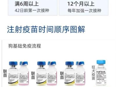 金毛疫苗接种频率及注意事项（养金毛宝宝，为其接种疫苗是多久一次？）