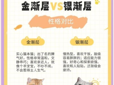 如何挑选适合的纯种金渐层？（金渐层价格、外观特征及性格特点一网打尽）