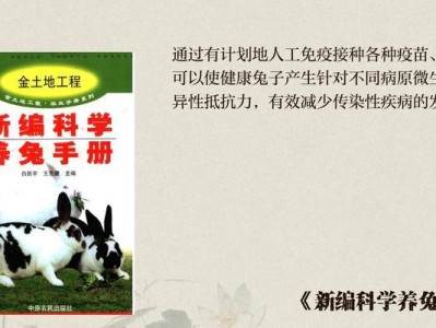 家兔饲养管理技术（家兔健康快乐的秘诀与方法）