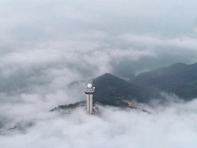 华丽线塘鳢的饲养全攻略（从选购到养护，了解华丽线塘鳢的全部知识）