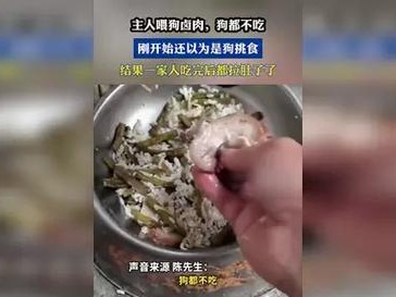 狗狗偏食的危害（了解如何帮助你的宠物养成好的饮食习惯）