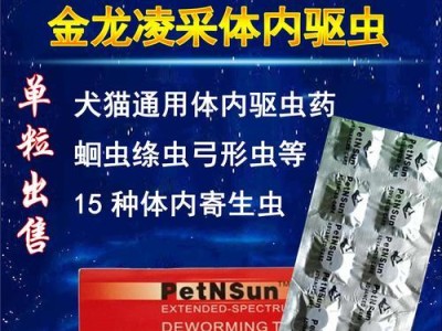 以虫内逃（解析以虫内逃的行动时间及关键因素）