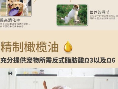 博美怀孕期间禁忌药物指南（了解博美怀孕期间的用药禁忌，守护宝宝健康）