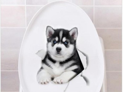 如何选择适合哈士奇狗狗的沐浴露？（从宠物身体特点、药店选择、洗澡技巧、不良成分等角度来分析）