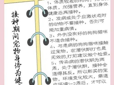 狗狗疫苗的重要性（了解狗狗打疫苗的时间和种类，让爱宠健康无忧）