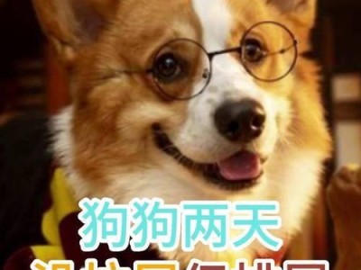 狗狗喝完水后多久排尿正常吗？（探究狗狗喝水后的排尿时间及健康问题）