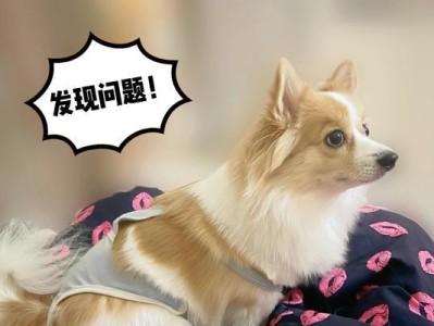 满月小狗的大便特征（探究满月小狗大便的形状、颜色和质地）