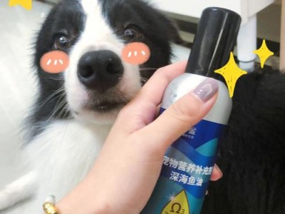 如何处理宠物犬的被毛？——一份完整的养狗宝典（5大诀窍让你轻松搞定宠物犬被毛问题，尽享养狗乐趣）