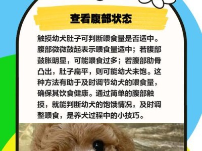 如何判断哈士奇是否吃饱？（饮食管理和喂养频率的重要性）