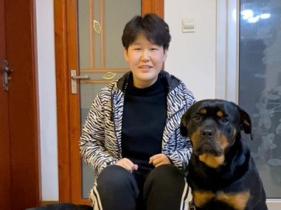 如何处理罗威纳犬右后腿瘸的问题？（罗威纳犬右后腿瘸的常见原因及应对方法）