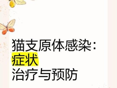 宠物猫咪养护（细致消毒，宠物猫咪的健康守护）