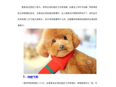 宠物小狗为什么打喷嚏流鼻涕咳嗽？如何有效缓解症状？