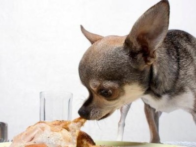 探讨阿拉斯加雪橇犬能否食用剩饭剩菜（以宠物为主，了解喂食规范）