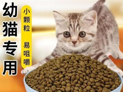 幼年猫的饮食需求及选择猫粮的关键因素（为幼猫选择合适的猫粮是关键）