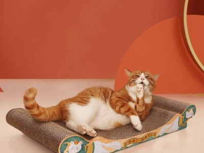 让宠物猫咪爱上使用猫抓板的技巧（从猫抓板的选择到训练技巧，让你的宠物猫咪快速成为抓板小能手）