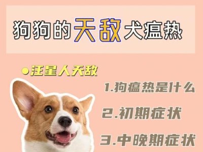 狗狗夺命之一的犬瘟症状与治疗方法（了解犬瘟的早期症状，及时治疗拯救宠物生命）