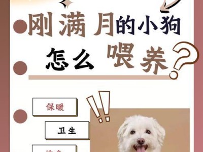 狗狗卫生清洁（为你的狗狗提供完善的清洁护理）