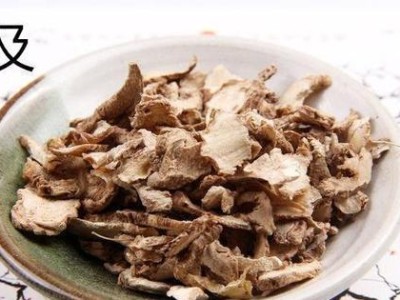 小狗胃出血急救方法大揭秘（食物治疗为小狗止血的可行性）