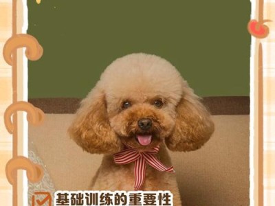泰迪犬的肩高体长测量方法及重要性（掌握正确测量方法，了解泰迪犬的生理发育状况）