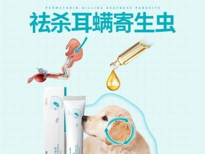 探索宠物药的世界（了解宠物药品种类和作用，保障宠物健康）