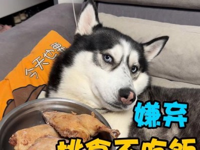 家中的狗为什么不吃饭？（探寻狗狗拒食的原因及解决方法）