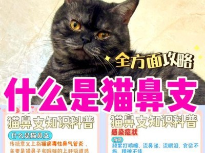 区分猫鼻支和感冒的方法（掌握关键特征辨别猫鼻支与感冒）